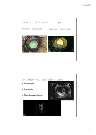 28/02/2010




Luxation du cristallin : origine

Primitive : héréditaire     Secondaire : inflammatoire




Evolution des cristallins luxés
   Glaucome

   Cataracte

   Migration postérieure




                                                                11
 