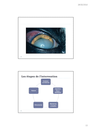 28/02/2010




Les •tapes de l’intervention
                          Incision
                         cornéenne



                                            Injection
       Suture                                Visco-
                                            élastique




                                     Retrait du
           Vitrectomie
                                     cristallin




                                                               13
 