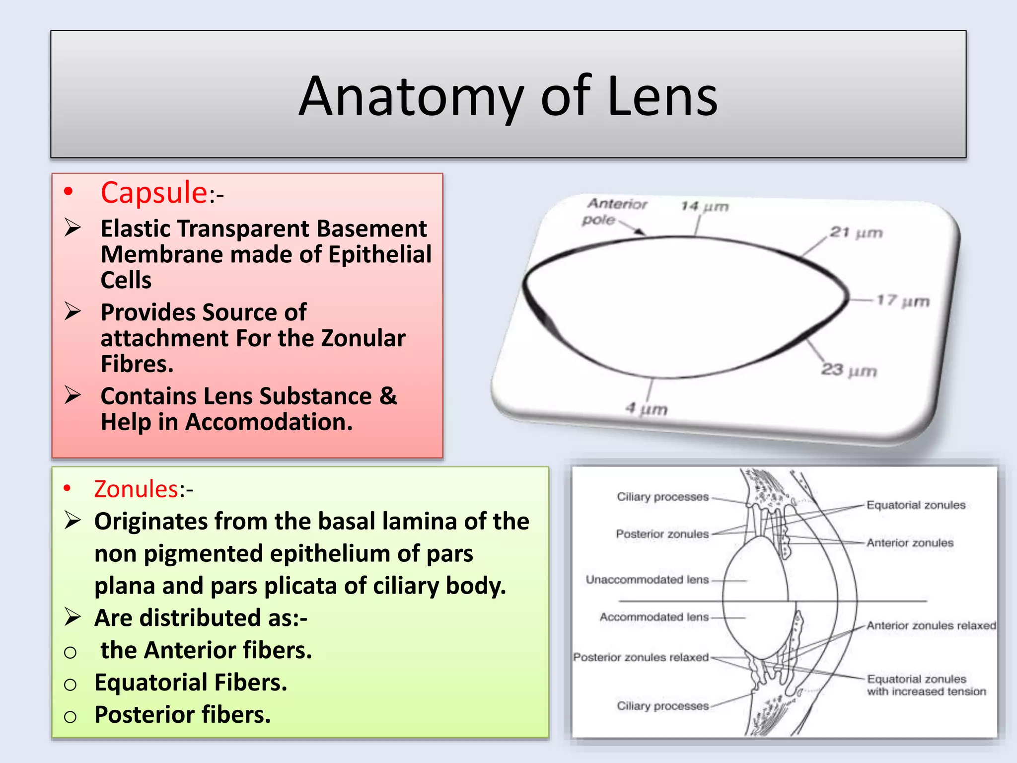 Cataract Structure Types Of Cataract | PPTX