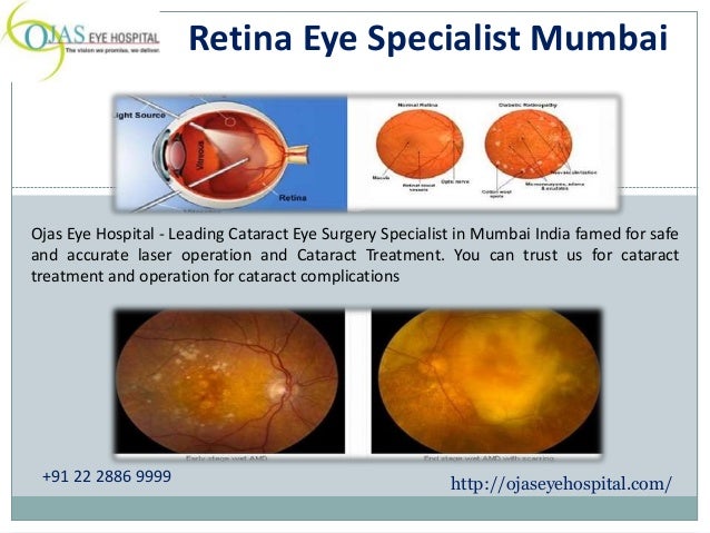 What Are Senior Eye Issues 4 Preventable Eye Problems What Are Senior Eye Issues 4 Preventable Eye Problems