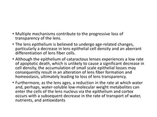 • Multiple mechanisms contribute to the progressive loss of
transparency of the lens.
• The lens epithelium is believed to undergo age-related changes,
particularly a decrease in lens epithelial cell density and an aberrant
differentiation of lens fiber cells.
• Although the epithelium of cataractous lenses experiences a low rate
of apoptotic death, which is unlikely to cause a significant decrease in
cell density, the accumulation of small scale epithelial losses may
consequently result in an alteration of lens fiber formation and
homeostasis, ultimately leading to loss of lens transparency.
• Furthermore, as the lens ages, a reduction in the rate at which water
and, perhaps, water-soluble low-molecular weight metabolites can
enter the cells of the lens nucleus via the epithelium and cortex
occurs with a subsequent decrease in the rate of transport of water,
nutrients, and antioxidants
 