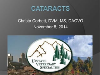 Christa Corbett, DVM, MS, DACVO
November 8, 2014
 