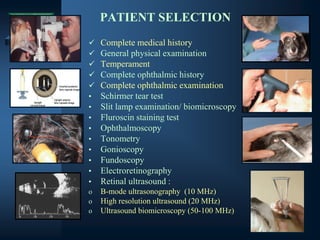 PATIENT SELECTION
✓ Complete medical history
✓ General physical examination
✓ Temperament
✓ Complete ophthalmic history
✓ Complete ophthalmic examination
• Schirmer tear test
• Slit lamp examination/ biomicroscopy
• Fluroscin staining test
• Ophthalmoscopy
• Tonometry
• Gonioscopy
• Fundoscopy
• Electroretinography
• Retinal ultrasound :
o B-mode ultrasonography (10 MHz)
o High resolution ultrasound (20 MHz)
o Ultrasound biomicroscopy (50-100 MHz)
 