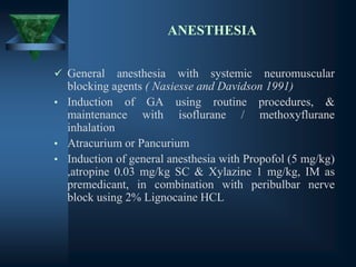 ANESTHESIA
✓ General anesthesia with systemic neuromuscular
blocking agents ( Nasiesse and Davidson 1991)
• Induction of GA using routine procedures, &
maintenance with isoflurane / methoxyflurane
inhalation
• Atracurium or Pancurium
• Induction of general anesthesia with Propofol (5 mg/kg)
,atropine 0.03 mg/kg SC & Xylazine 1 mg/kg, IM as
premedicant, in combination with peribulbar nerve
block using 2% Lignocaine HCL
 
