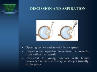 DISCISSION AND ASPIRATION
• Opening cornea and anterior lens capsule
• Irrigation and aspiration to remove the contents
from within the capsule
• Restricted to young animals with liquid
cataracts / animals with very small eyes (usually
exotic pets)
 