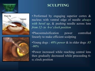 SCULPTING
• Performed by engaging superior cortex &
nucleus with ventral edge of needle always
with bevel up, & pushing needle across lens
from 12- to 6-o’clock position
•Phacoemulsification power controlled
linearly to make efficient sculpting
•Young dogs : 40% power & in older dogs :85
-90%
•Power increased while reaching central lens
then gradually decreased while proceeding 6-
o; clock position
 