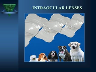 INTRAOCULAR LENSES
 