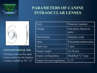 PARAMETERS OF CANINE
INTRAOCULAR LENSES
Style Posterior chamber
Design One-piece, biconvex
optic
Sterilization Ethylene oxide
Optic Polymethymethacrylate
Optic size 7 mm
Haptic length 14-18 mm
Haptic configuration Modified “C” loop
Haptic forward angulation 2-15º
• Dialing holes on the optic
• Suture holes on the haptics
• Lenses vaulted at 10º -12º
CONVENTIONAL IOL
 
