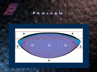 Fisiología 