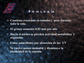Fisiología Continua creciendo en tamaño y  peso durante toda la vida. El grosor aumenta 0.02 mm por año Hacia el núcleo se pierden actividad metabólica  y organelos Color amarillento por absorción de luz  UV Se vuelve menos maleable y disminuye la elasticidad de la cápsula 