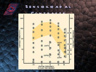 Sensibilidad al Contraste 