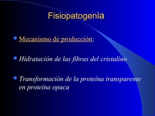 FisiopatogenFisiopatogeniaia
Mecanismo de producción:
Hidratación de las fibras del cristalino
Transformación de la proteína transparente
en proteína opaca
 