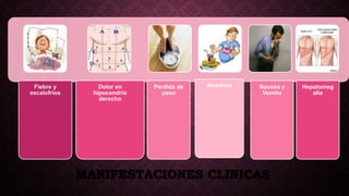 MANIFESTACIONES CLINICAS
Fiebre y
escalofrios
Dolor en
hipocondrio
derecho
Perdida de
peso
Anorexia Nausea y
Vomito
Hepatomeg
alia
 