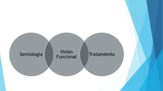 Semiología
Visión
Funcional
Tratamiento
 