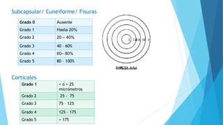 Grado 1 < ó = 25
micrómetros
Grado 2 25 - 75
Grado 3 75 – 125
Grado 4 125 – 175
Grado 5 > 175
Corticales
Grado 0 Ausente
Grado 1 Hasta 20%
Grado 2 20 – 40%
Grado 3 40 – 60%
Grado 4 60– 80%
Grado 5 80 – 100%
Subcapsular/ Cuneiforme/ Fisuras
 