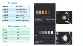 Grado 0 No color
Grado 1 Amarillo claro
Grado 2 Amarillo oscuro
Grado 3 Anaranjado
Grado 4 Marrón rojizo
Grado 5 Marrón negruzco
Grado 1 20%
Grado 2 30%
Grado 3 43%
Grado 4 59%
Grado 5 78%
Nucleares
Reflexion del núcleo
 
