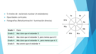  5 niveles de esclerosis nuclear (4 estándares)
 Opacidades corticales
 Fotografías (Retoiluminaciín/ iluminación directa)
Grado 1 Claro
Grado 2 Mas claro que el estandar 2
Grado 3 Mas claro que el estandar 3, pero menos que el 2
Grado 4 Más claro que el estandar 4 , pero menos que el 3
Grado 5 Mas severo que el estándar 4
 