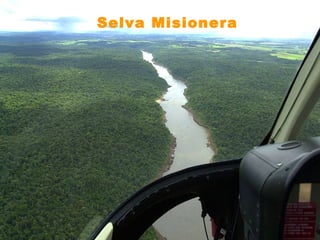 Selva Misionera

 
