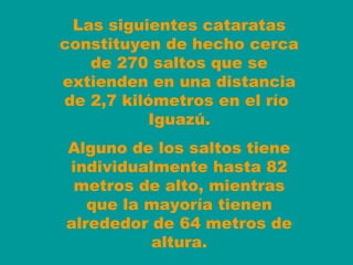 Las siguientes cataratas
constituyen de hecho cerca
de 270 saltos que se
extienden en una distancia
de 2,7 kilómetros en el río
Iguazú.
Alguno de los saltos tiene
individualmente hasta 82
metros de alto, mientras
que la mayoría tienen
alrededor de 64 metros de
altura.

 