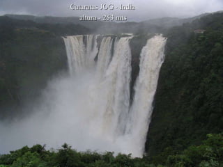 Cataratas JOG - India altura - 253 mts 