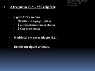 Dr. João Alfredo Kleiner MV, MScACVO Wisconsin – 1998www.vetweb.com.brLIO Intra-sacular (“In the Bag”)