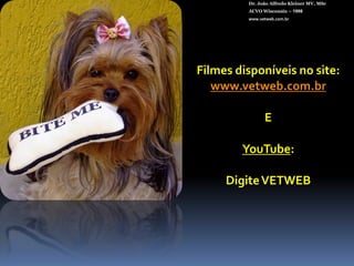 Dr. João Alfredo Kleiner MV, MScACVO Wisconsin – 1998www.vetweb.com.brPoodle 6 meses pós-opSchnauzer 1 ano pós-opLhasa Apso dia seguinte da cirurgia