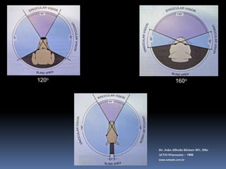 120o160oDr. João Alfredo Kleiner MV, MScACVO Wisconsin – 1998www.vetweb.com.br