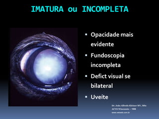 IMATURA ou INCOMPLETAOpacidade mais evidenteFundoscopia incompletaDefictvisual se bilateralUveíteDr. João Alfredo Kleiner MV, MScACVO Wisconsin – 1998www.vetweb.com.br