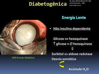 Dr. João Alfredo Kleiner MV, MScACVO Wisconsin – 1998www.vetweb.com.brPolar AnteriorPolar posteriorSubcapsularEquatorialCortical posteriorLamelarNuclear