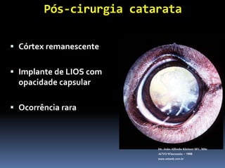 DiabetogênicaDr. João Alfredo Kleiner MV, MScACVO Wisconsin – 1998www.vetweb.com.brEnergia LenteNão insulino dependenteGlicose  hexoquinase	 glicose   hexoquinase			      Sorbitol  aldose-redutase   Desvio osmótico			Acúmulo H2OSRD 8 anos diabético
