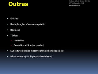 TraumáticaDr. João Alfredo Kleiner MV, MScACVO Wisconsin – 1998www.vetweb.com.br3 semanasapós corneorrafia.CoágulolenteSinéquia anteriorNébulaInícioÍrisBombé ** convexo