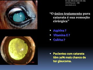 OutrasDr. João Alfredo Kleiner MV, MScACVO Wisconsin – 1998www.vetweb.com.brElétricaReduplicação: 2o camada epitélioRadiaçãoTóxica:DialdeídosSecundária a P.R.A (ex. poodles)Substituto do leite materno (falta de aminoácidos).Hipocalcemia (I.R, hipoparatireoidismo)