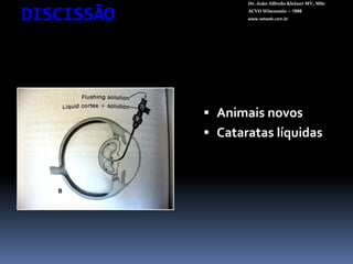 Clarvisol ???Dr. João Alfredo Kleiner MV, MScACVO Wisconsin – 1998www.vetweb.com.brPirenoxina sódica (1 comprimido). Excipiente basicamente constituído de:taurina, ácido bórico e polivinilpirrolidona