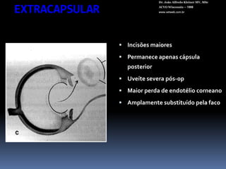 Cinerária Marítima ???Alcalóides (jacobina)FlavonóidesTaninosMucilagens. EmenagogoDr. João Alfredo Kleiner MV, MScACVO Wisconsin – 1998www.vetweb.com.br