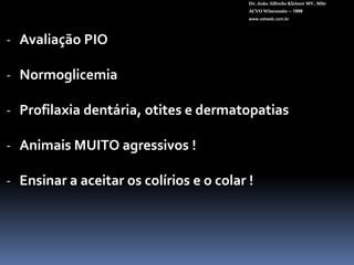 PÓS IMEDIATODr. João Alfredo Kleiner MV, MScACVO Wisconsin – 1998www.vetweb.com.br