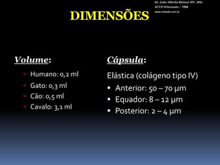 Dr. João Alfredo Kleiner MV, MScACVO Wisconsin – 1998www.vetweb.com.brDIMENSÕESVolume:Humano: 0,2 mlGato: 0,3 mlCão: 0,5 mlCavalo: 3,1 mlCápsula:Elástica (colágeno tipo IV)Anterior: 50 – 70 µmEquador: 8 – 12 µmPosterior: 2 – 4 µm