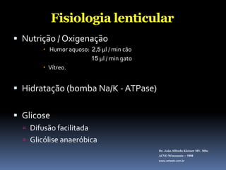 Fisiologia lenticularNutrição / Oxigenação Humor aquoso:  2,5µl / min cão15µl / min gatoVítreo.Hidratação (bomba Na/K - ATPase)GlicoseDifusão facilitadaGlicólise anaeróbica Dr. João Alfredo Kleiner MV, MScACVO Wisconsin – 1998www.vetweb.com.br