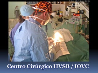 Dr. João Alfredo Kleiner MV, MScACVO Wisconsin – 1998www.vetweb.com.br