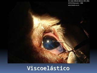 Material cirúrgicoDr. João Alfredo Kleiner MV, MScACVO Wisconsin – 1998www.vetweb.com.br