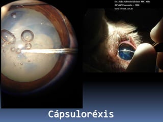 Dr. João Alfredo Kleiner MV, MScACVO Wisconsin – 1998www.vetweb.com.brSubstâncias viscoelásticas