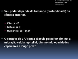 Dr. João Alfredo Kleiner MV, MScACVO Wisconsin – 1998www.vetweb.com.br