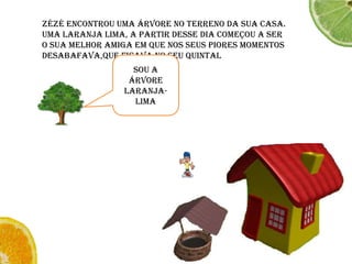 ZéZé encontrou uma árvore no terreno da sua casa. Uma laranja lima, a partir desse dia começou a ser o sua melhor amiga em que nos seus piores momentos desabafava,que ficava no seu quintalSou a árvore Laranja-Lima