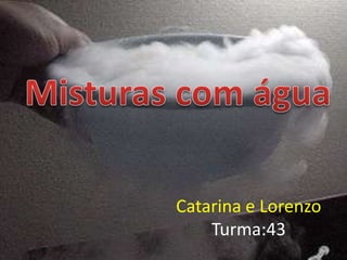 Catarina e Lorenzo
Turma:43
 
