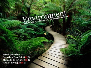Environment
Work done by:
Catarina P. n.º 8, 8th G
Mafalda P. n.º 17, 8th G
Rita F. n.º 23, 8th G
What are we doing to the environment?
 