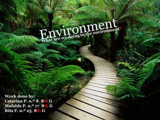Environment
Work done by:
Catarina P. n.º 8, 8th G
Mafalda P. n.º 17, 8th G
Rita F. n.º 23, 8th G
What are we doing to the...