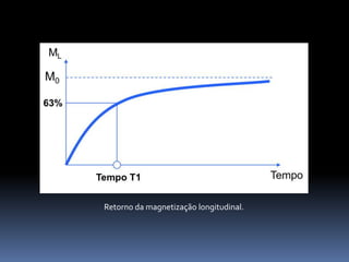 Retorno da magnetização longitudinal.
 