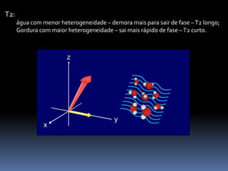 T2:
água com menor heterogeneidade – demora mais para sair de fase –T2 longo;
Gordura com maior heterogeneidade – sai mais rápido de fase –T2 curto.
 