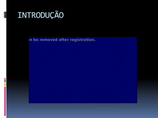 INTRODUÇÃO
 