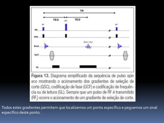 Todos estes gradientes permitem que localizemos um ponto específico e peguemos um sinal
específico deste ponto.
 