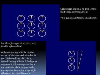 Localização espacial no eixo longo
(codificação de frequência)
* Frequências diferentes nas linhas.
Localização espacial no eixo curto
(codificação de fase).
Aplicamos um gradiente no eixo
curto, mudando as velocidades de
precessão ao longo da coluna;
quando este gradiente é desligado,
os prótons voltam a apresentar a
mesma velocidade de precessão,
mas apresentam spins em posição
diferente, em fase diferente.
 